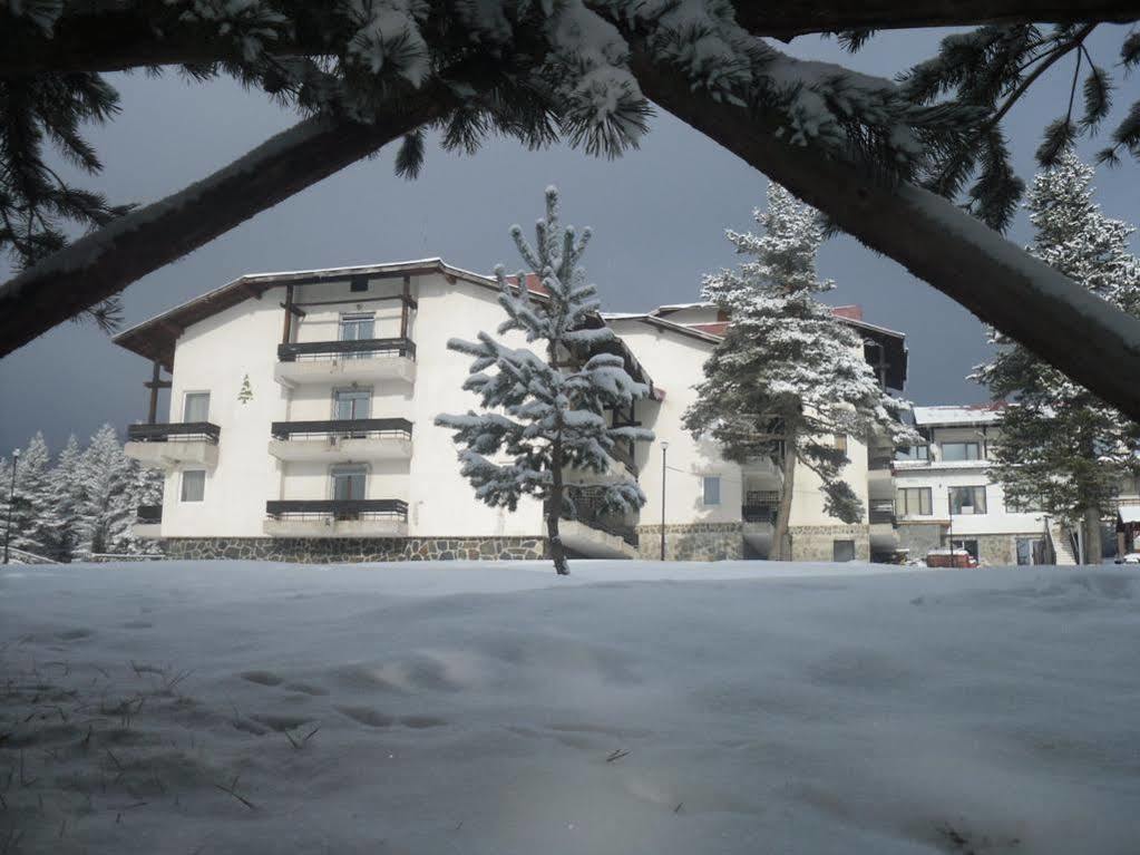 Bor Hotel Belitsa  外观 照片