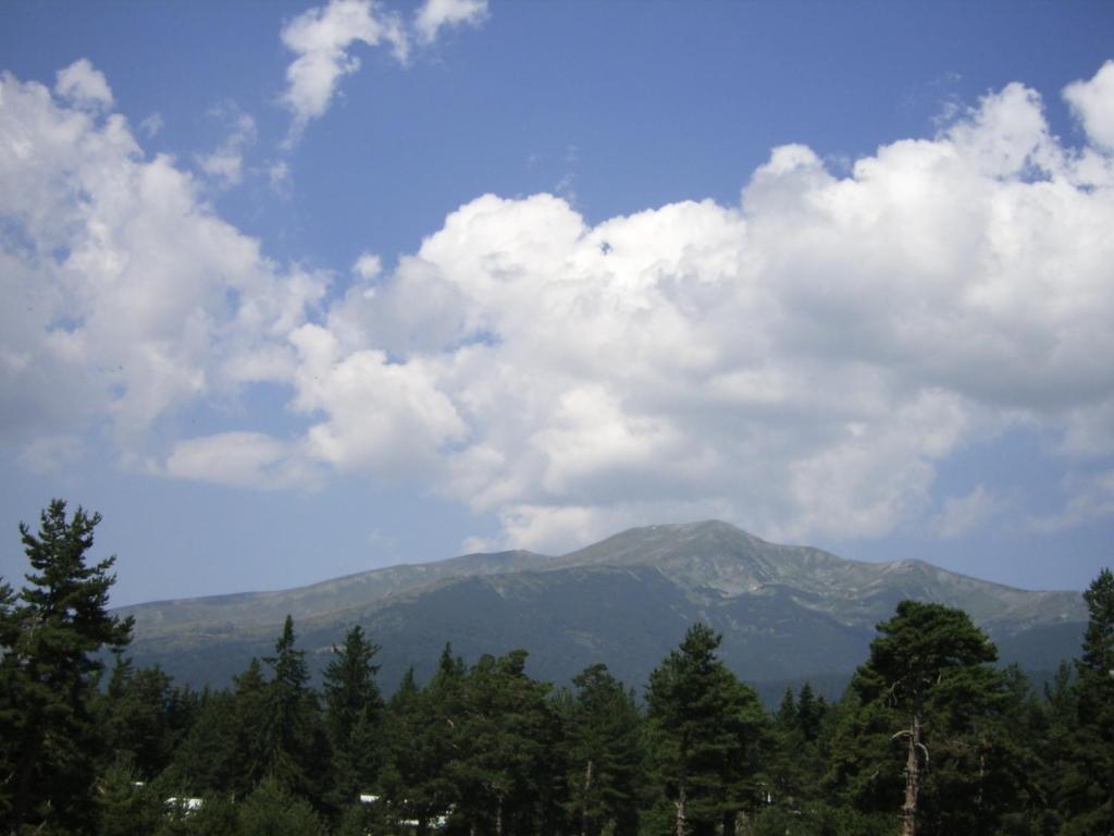 Bor Hotel Belitsa  客房 照片