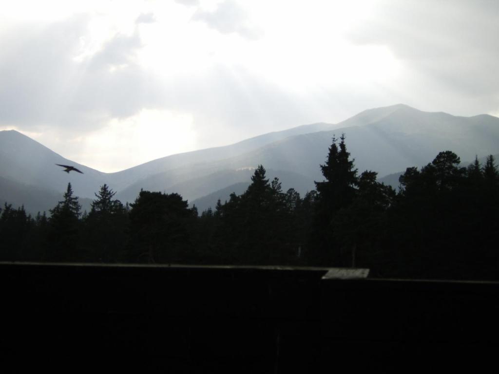 Bor Hotel Belitsa  客房 照片